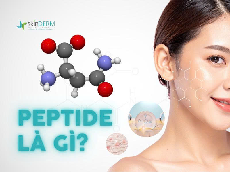 Peptide là gì?