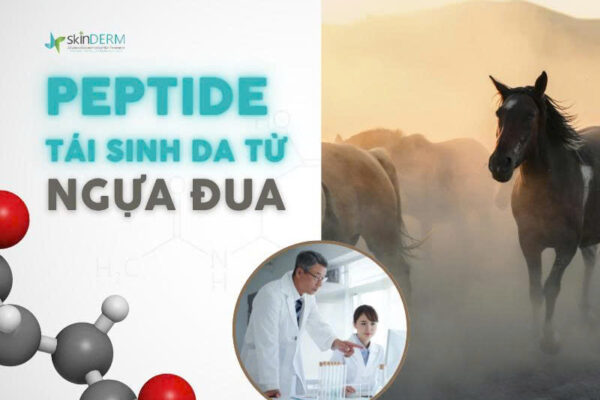Peptide tái sinh da từ nhau thai ngựa đua