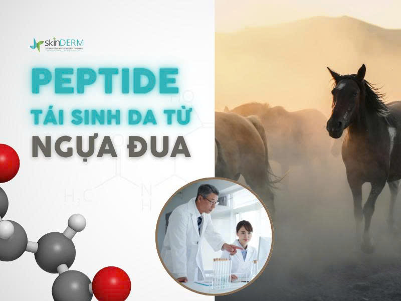 Peptide tái sinh da từ nhau thai ngựa đua